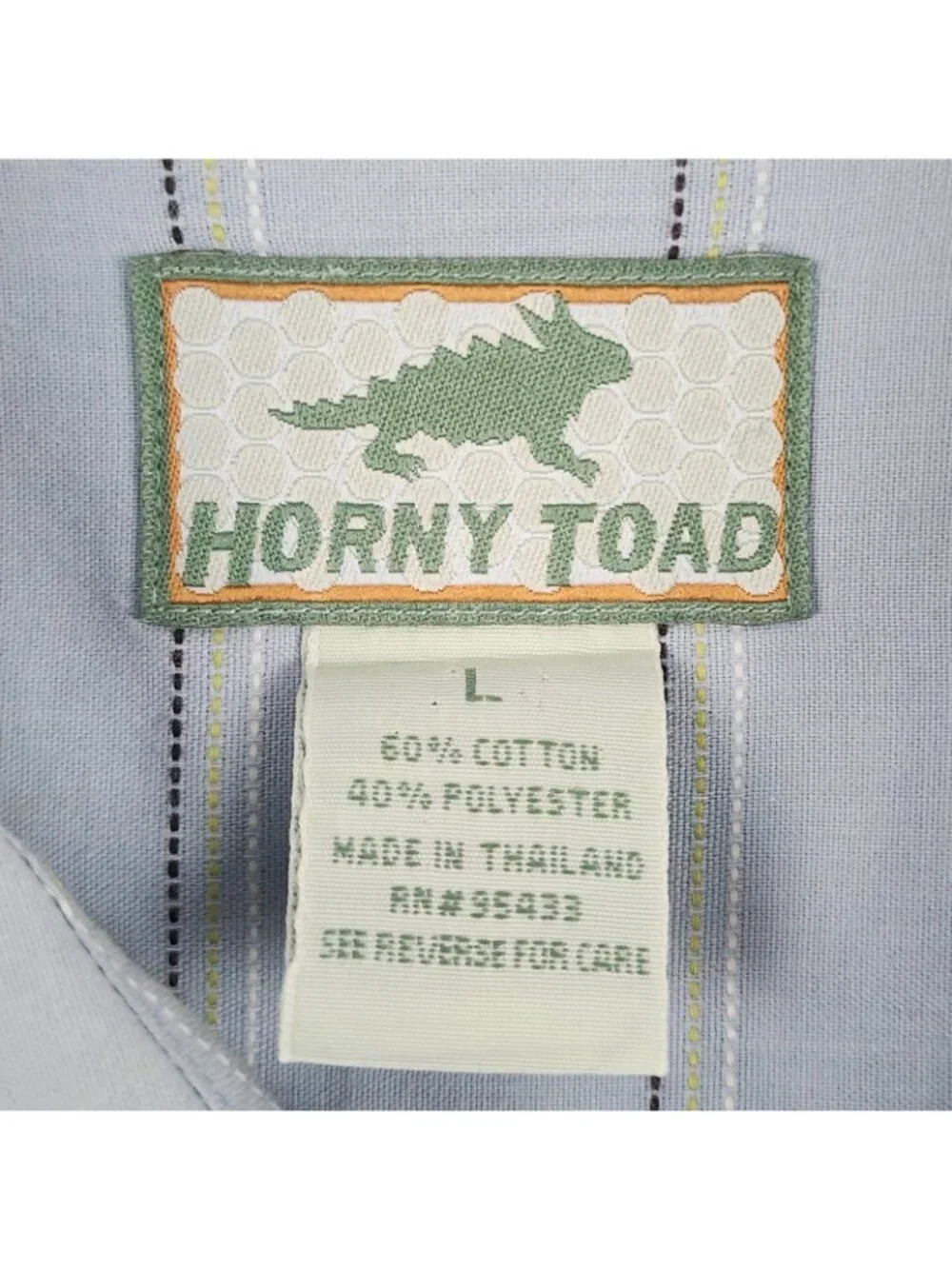 Horny Toad horny toad